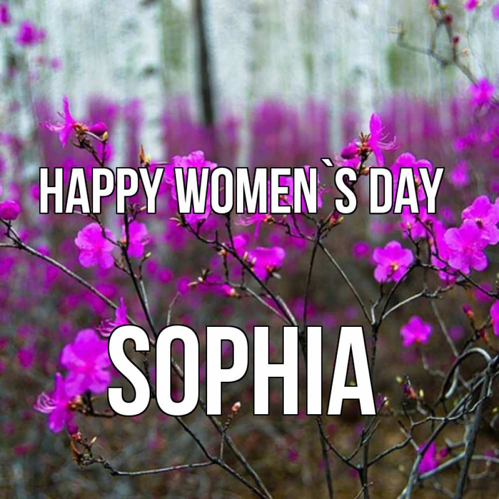 Greetings card с именем, Sophia happy women`s day дикие цветы Greetings with text for free download 